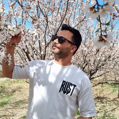 میثم لطفی قلعه اقایی - کاربر