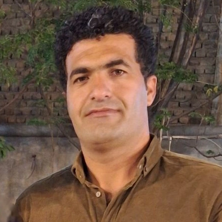 محسن بازگیر - کاربر