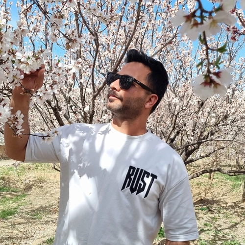 میثم لطفی قلعه اقایی - کاربر