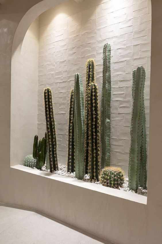 کناف دیوار۵۷